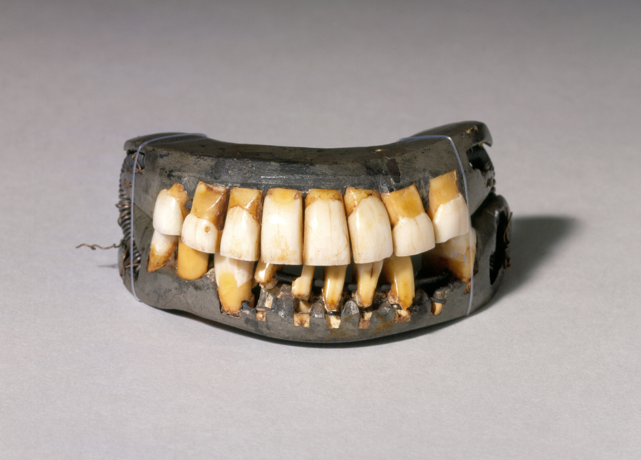 George Washington’s Chompers | Michelle Wright's Blog